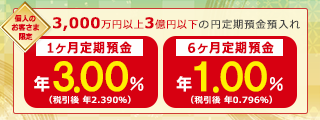 円定期預金特別金利キャンペーン