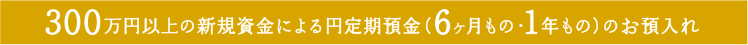 300万円以上の新規資金による円定期預金 (6ヶ月もの・1年もの) のお預入れ
