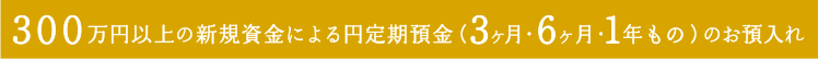 300万円以上の新規資金による円定期預金 (3ヶ月・6ヶ月・1年もの) のお預入れ