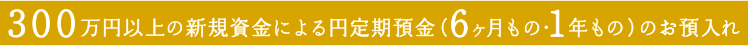 300万円以上の新規資金による円定期預金 (6ヶ月もの・1年もの) のお預入れ