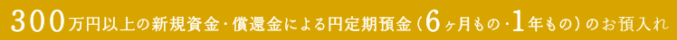300万円以上の新規資金・償還金による円定期預金 (6ヶ月もの・1年もの) のお預入れ