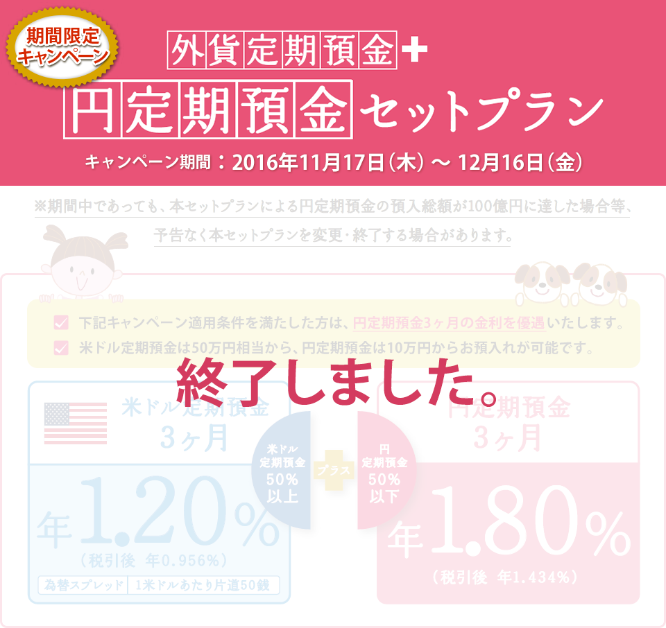 2016年 外貨定期預金+円定期預金セットプラン