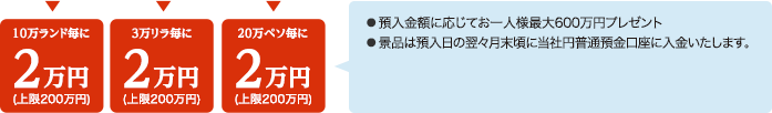 →10万ランド毎に2万円 (上限200万円) 、3万リラ毎に2万円 (上限200万円) 、20万ペソ毎に2万円 (上限200万円) 　●預入金額に応じてお一人様最大600万円プレゼント●景品は預入日の翌々月末頃に当社円普通預金口座に入金いたします。