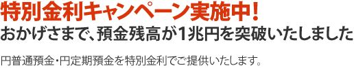 2011年 第2弾！特別金利キャンペーン