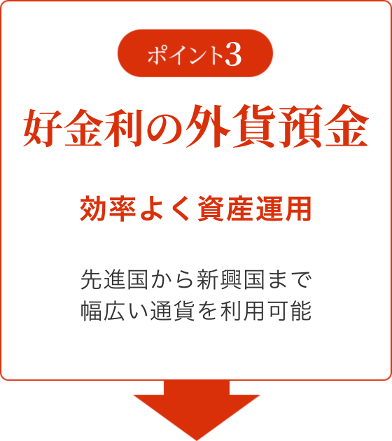 ポイント3 好金利の外貨預金 効率よく資産運用 先進国から新興国まで幅広い通貨を利用可能