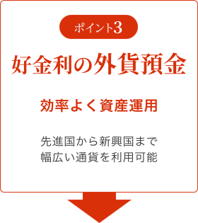 ポイント3 好金利の外貨預金 効率よく資産運用 先進国から新興国まで幅広い通貨を利用可能