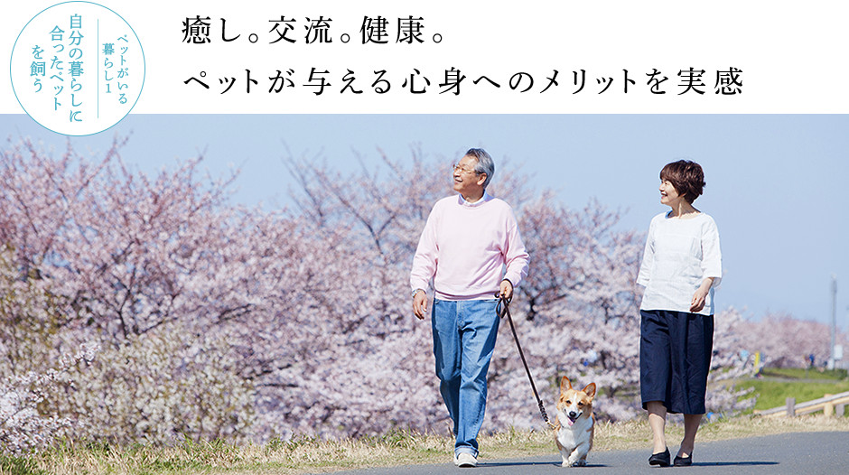 ペットがいる暮らし1 自分の暮らしに合ったペットを飼う:癒し。交流。健康。ペットが与える心身へのメリットを実感