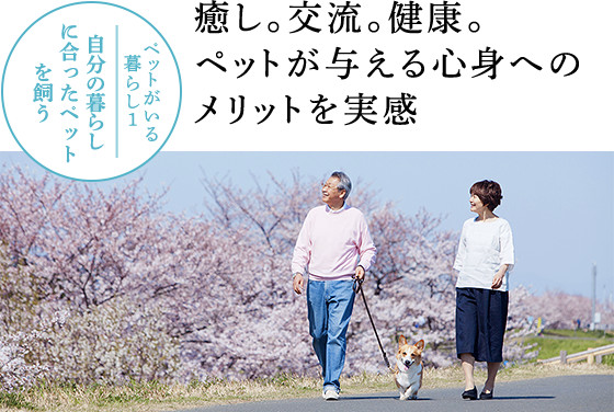 ペットがいる暮らし1 自分の暮らしに合ったペットを飼う:癒し。交流。健康。ペットが与える心身へのメリットを実感