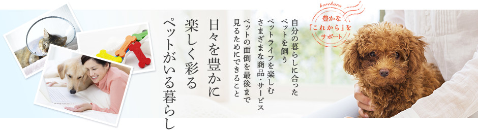 自分の暮らしに合ったペットを飼うペットライフを楽しむさまざまな商品・サービスペットの面倒を最後まで見るためにできること 日々を豊かに楽しく彩るペットがいる暮らし