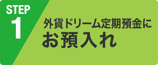 外貨ドリーム定期預金にお預入れ