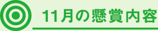 11月の懸賞内容