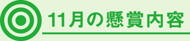 11月の懸賞内容