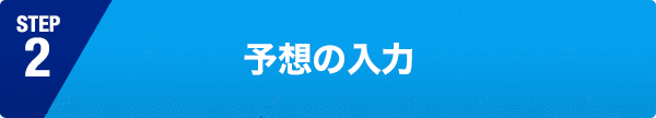 予想の入力