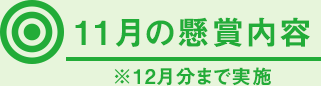 11月の懸賞内容 ※12月分まで実施