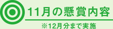 11月の懸賞内容 ※12月分まで実施