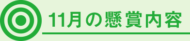 11月の懸賞内容