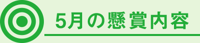 5月の懸賞内容