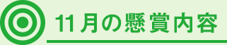 11月の懸賞内容