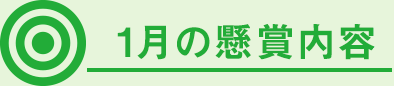 1月の懸賞内容