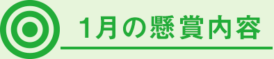 1月の懸賞内容