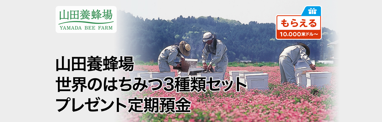 山田養蜂場 世界のはちみつ3種類セットプレゼント定期預金