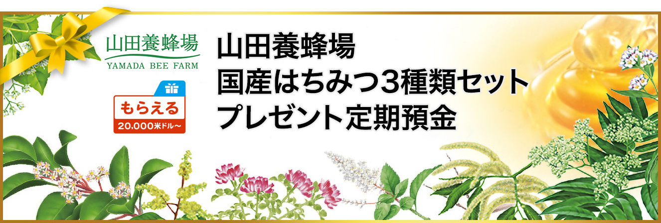 山田養蜂場国産はちみつ3種類セットプレゼント定期預金