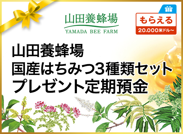 山田養蜂場国産はちみつ3種類セットプレゼント定期預金