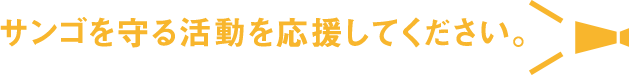 サンゴを守る活動を応援してください。