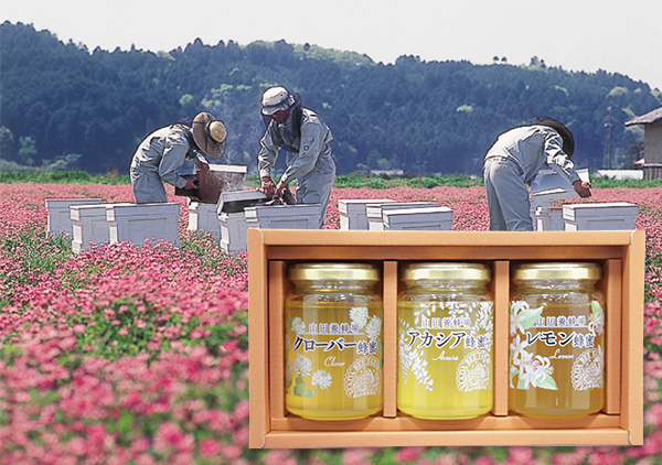 山田養蜂場 世界のはちみつ3種類セットプレゼント定期預金