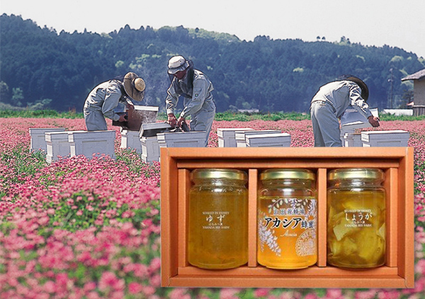 山田養蜂場 蜂蜜・はちみつ漬 3本セットプレゼント定期預金