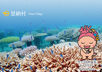 サンゴを守る沖縄県恩納村