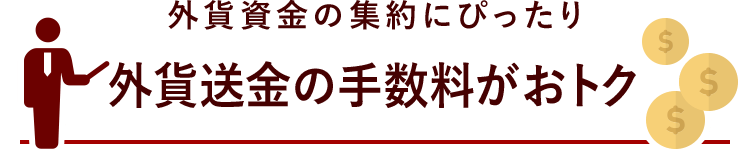 外貨資金の集約にぴったり 外貨送金の手数料がおトク