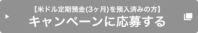 【米ドル定期預金 (3ヶ月) を預入済みの方】キャンペーンに応募する