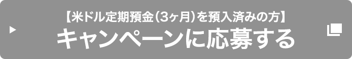 【米ドル定期預金 (3ヶ月) を預入済みの方】キャンペーンに応募する