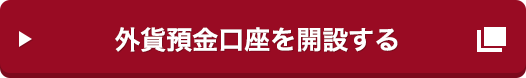 外貨預金口座を開設する