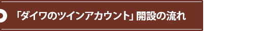 「ダイワのツインアカウント」開設の流れ