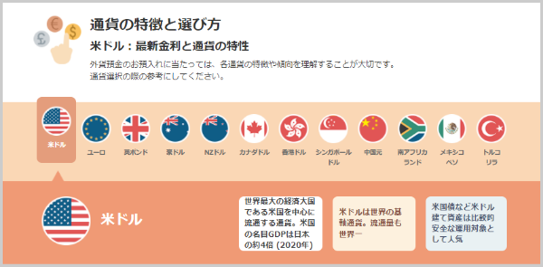 通貨の特徴と選び方