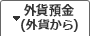 外貨預金 (外貨から)